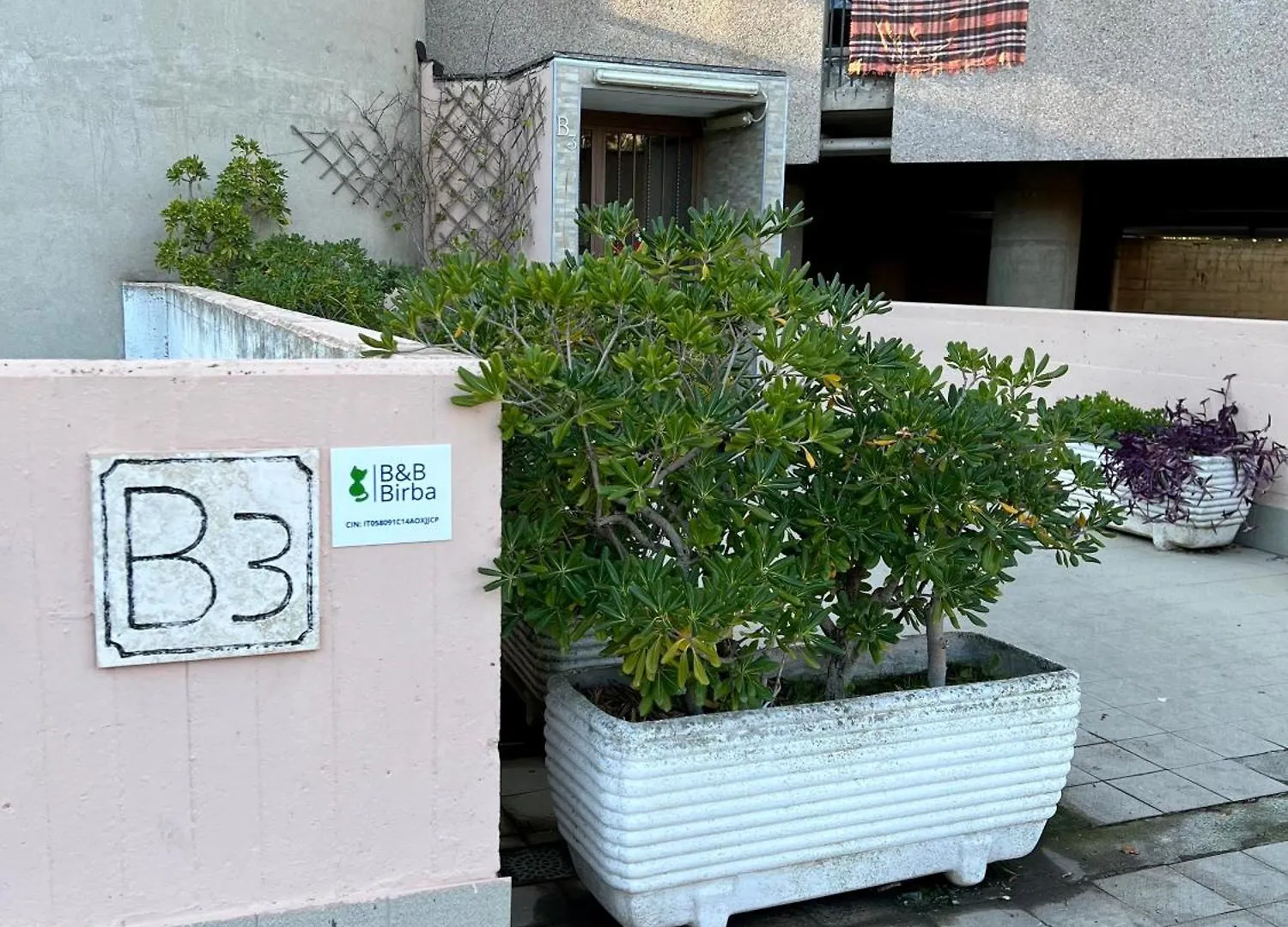 Bed & Breakfast B&B Birba Rome